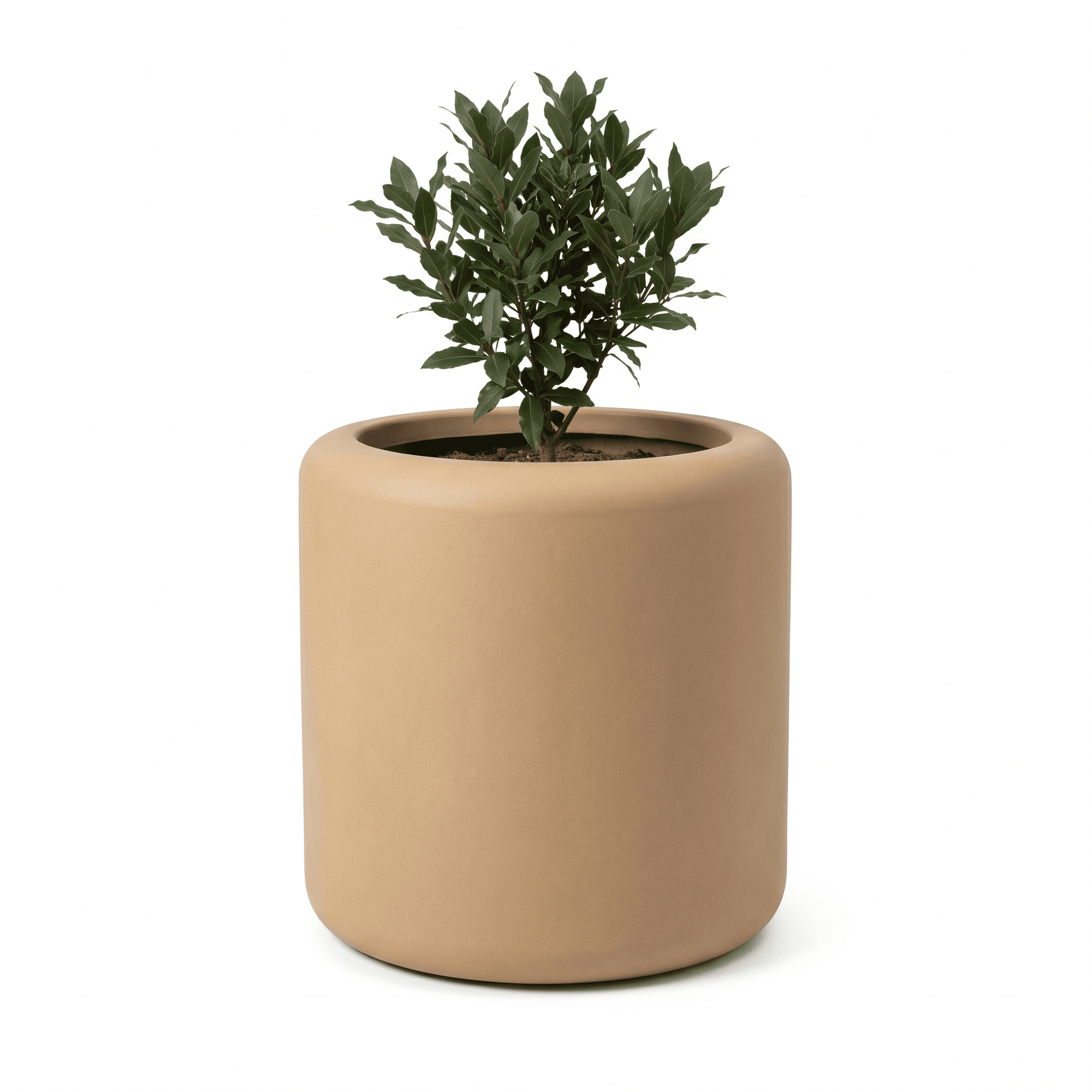 Sereno Planter